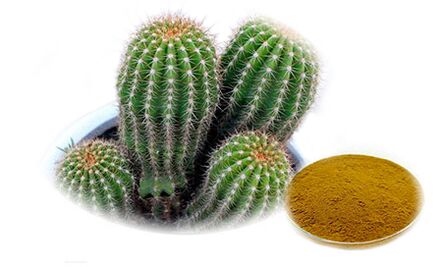Hoodia gordoni as part of Reduslim