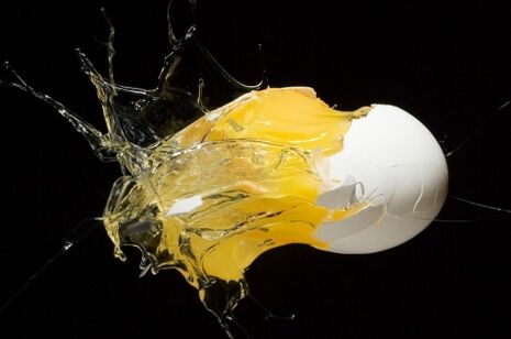 cons of the egg diet